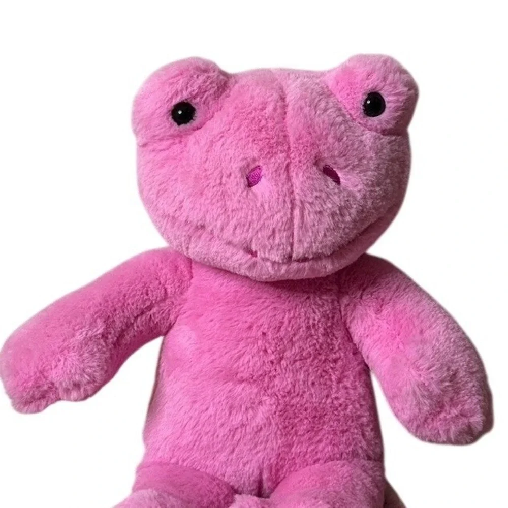 Build-A-Bear Workshop Spring Pink Frog Plush Stuffed Animal 2021 B-A-B 16 inch - Picture 2 of 7